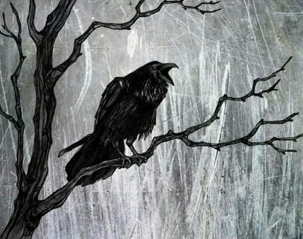 Ворона на дереве