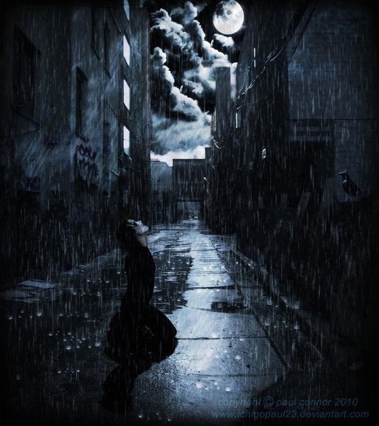 Ворон под дождем