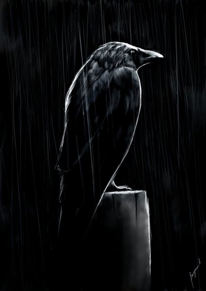 Мрачный ворон