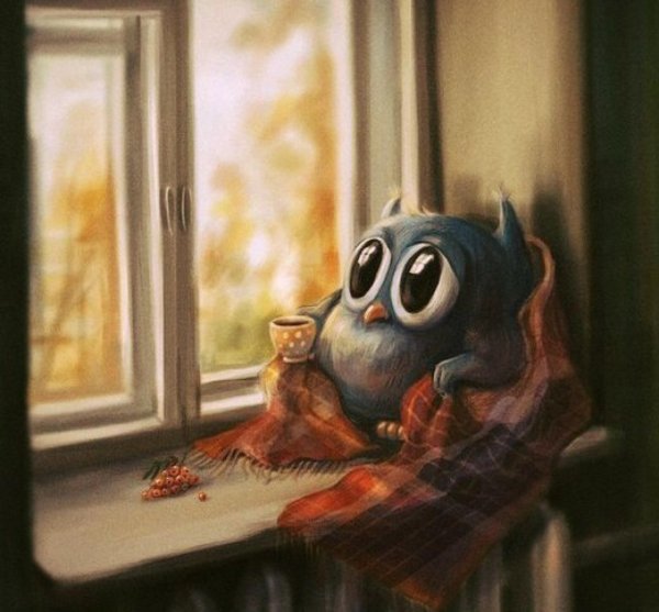 Хотела погрустить на подоконнике