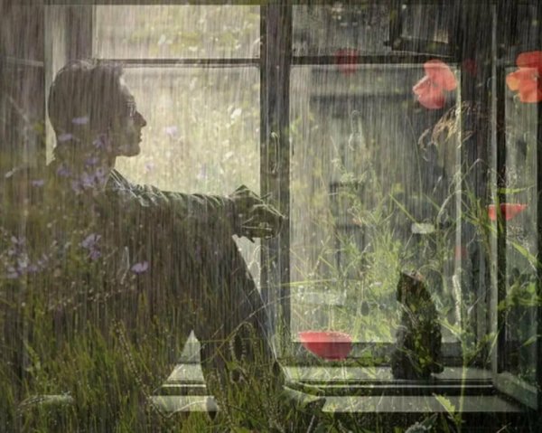 Дождь в окне