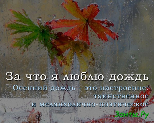 Люблю дождь