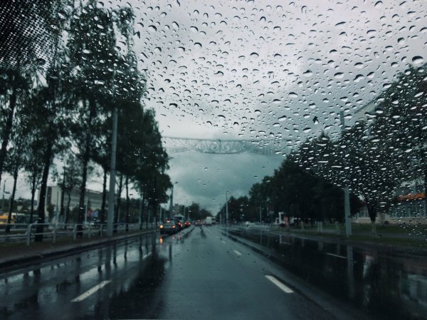 Люблю дождь