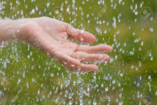 Две руки под дождем