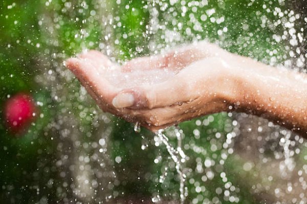 Летний дождь ладошки