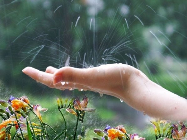 Дождь на ладони