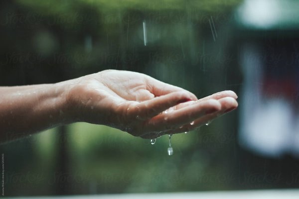 Капли на ладошке