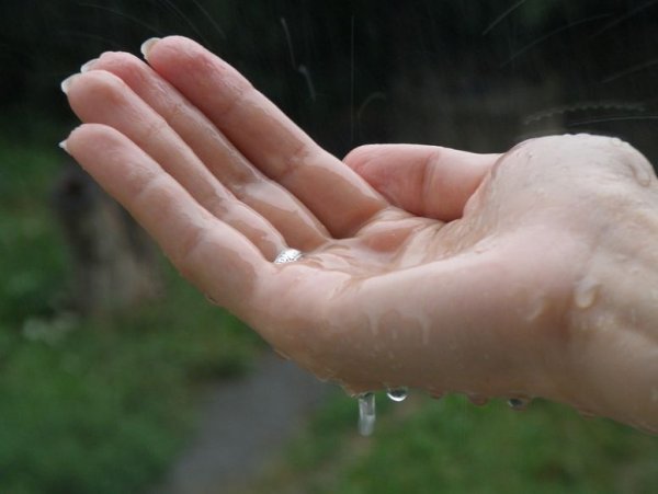 Капля дождя на ладони
