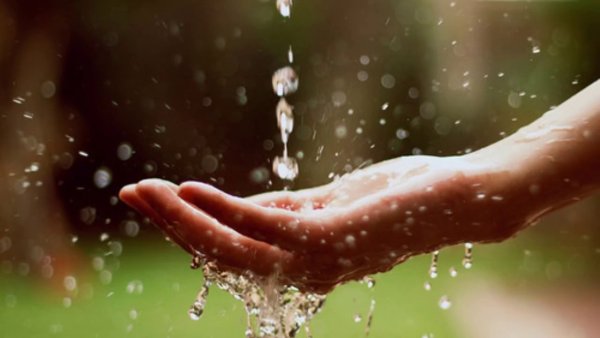 Капли на ладони