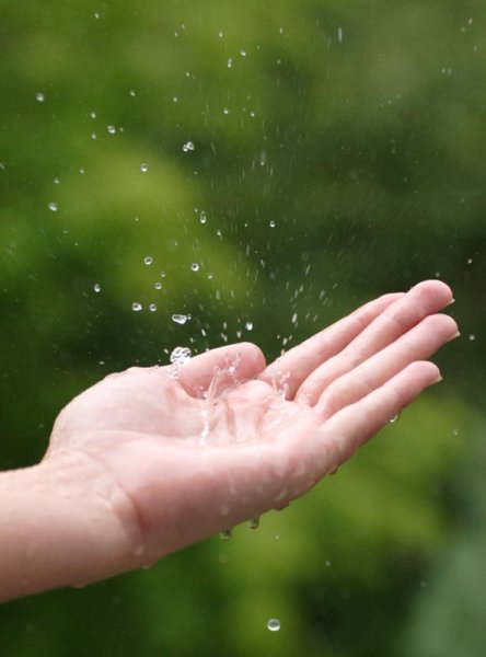 Капли дождя в ладошке