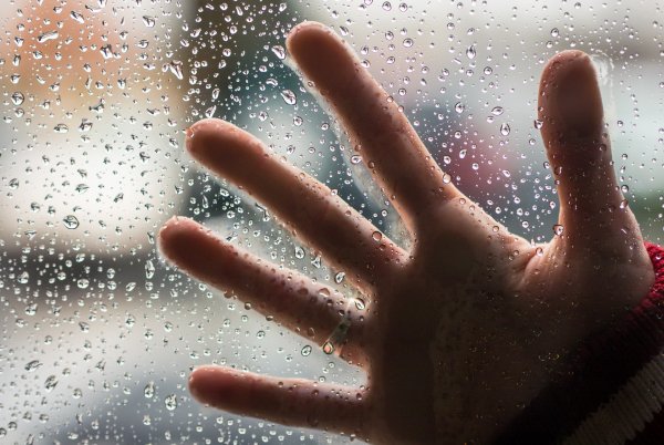 Ладонь на стекле