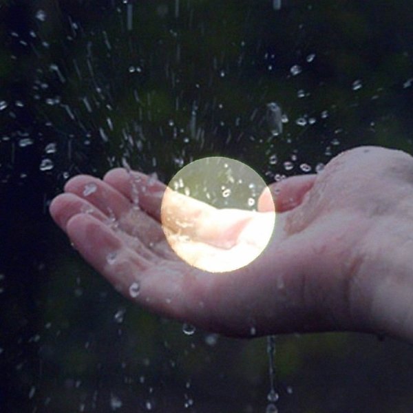 Капля на ладони