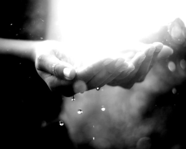 Капли на ладони