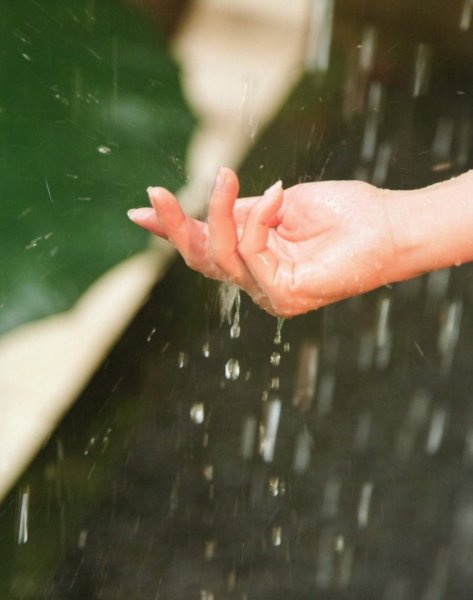 Женские руки под дождем