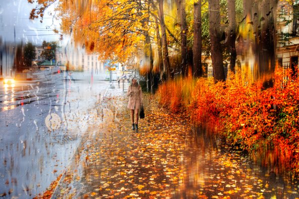 Осень Петербург Гордеев