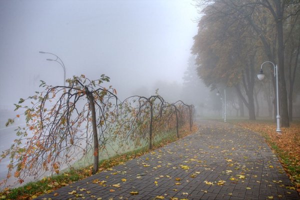 Поздняя дождливая осень