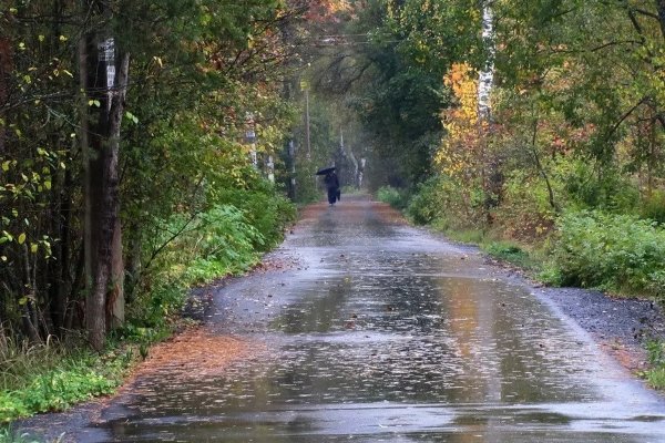 Осень непогода дождь