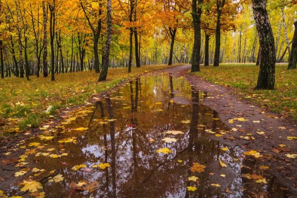 Промозглая осень