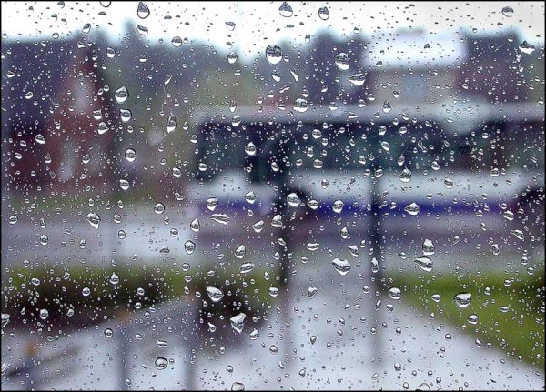 Дождливая суббота картинки