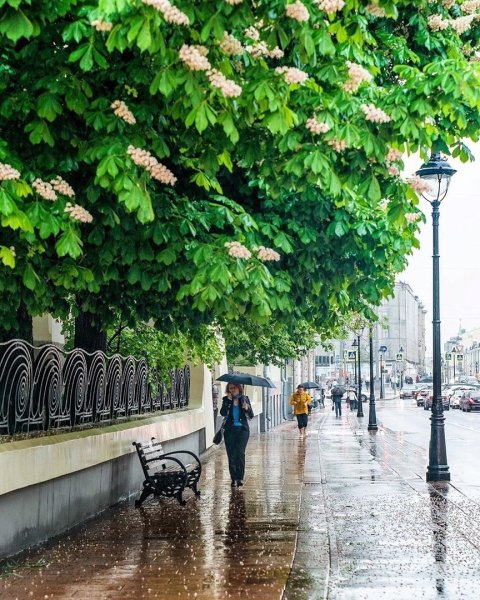 Город после дождя