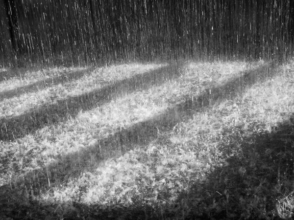 Дождь фото