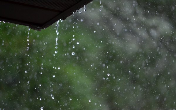 Мелкий дождь