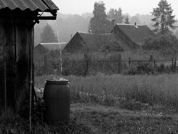 Дождливый день в деревне