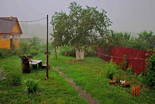 Дождь в деревне