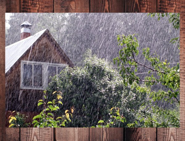 Дождь на даче