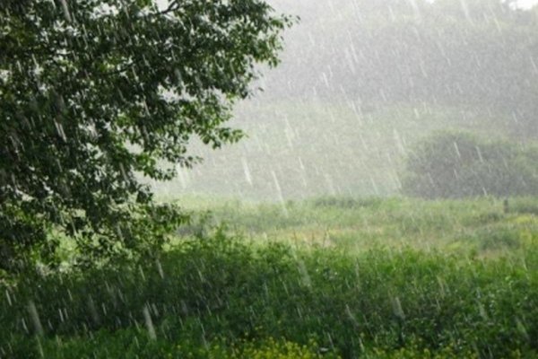 Ливень в деревне