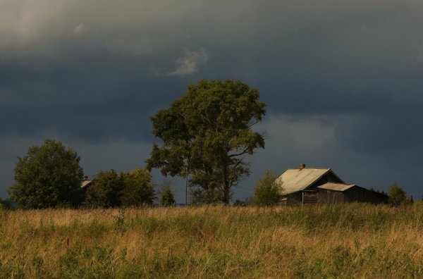 Перед дождем в деревне