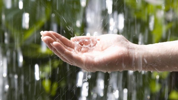 Капля на ладони