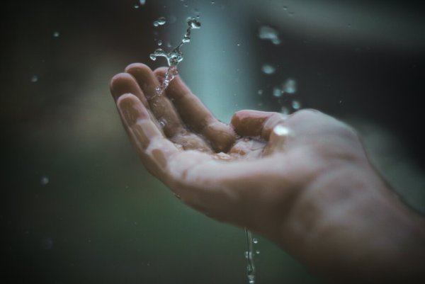 Дождь на ладони