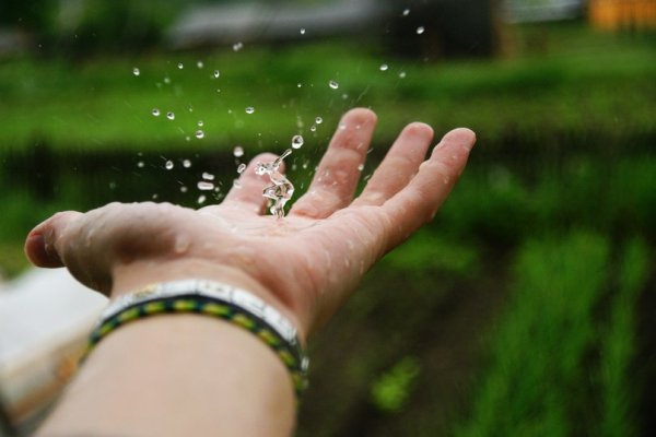 Капли воды на ладони