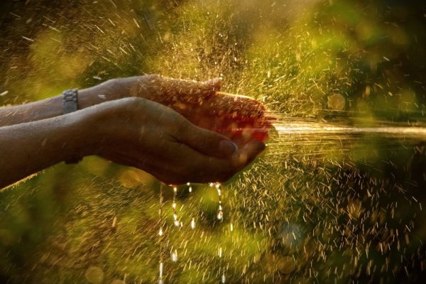 Осенний дождь и ладонь