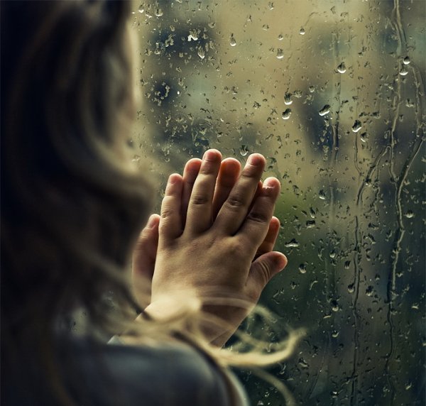 Ладонь на окне