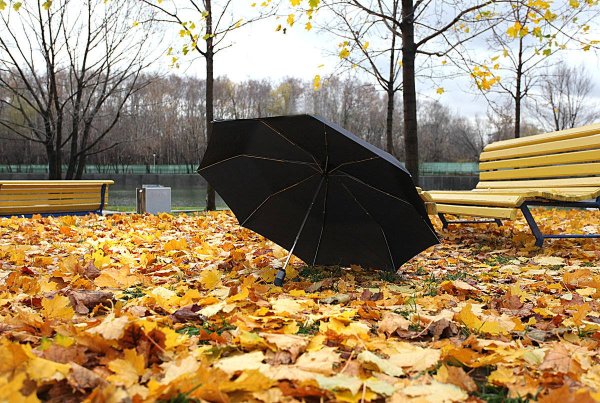 Осень дождь зонт