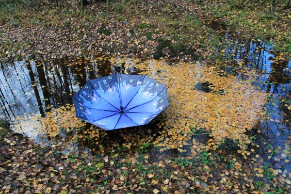 Осенний зонтик