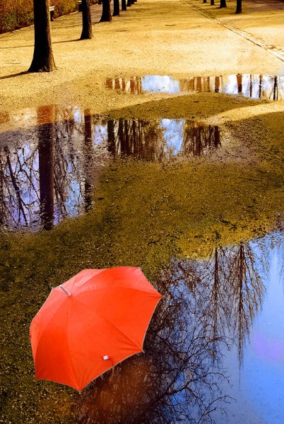 Зонт в луже