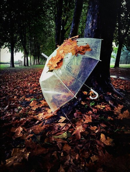 Осенний зонтик