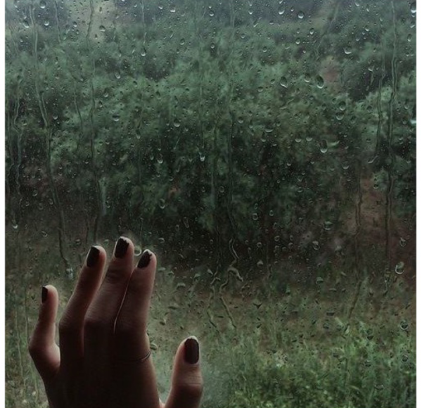 Эстетика природы дождь