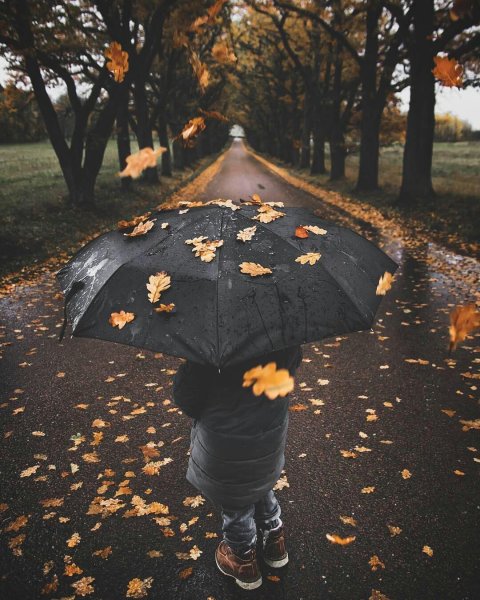 Осенняя фотосессия с зонтом
