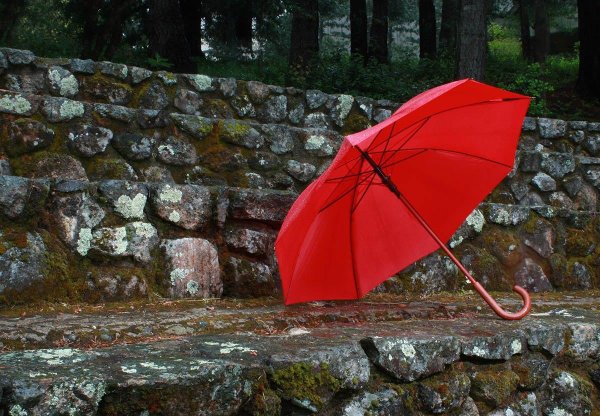 Дождевой зонт