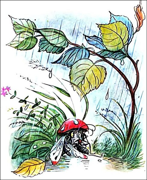 Сказка про гриб Сутеева