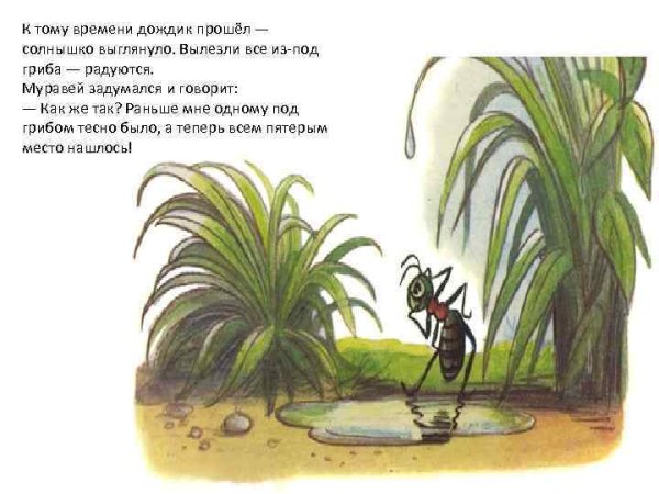 Сутеев под грибом муравей