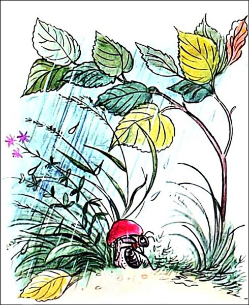 Сутеев в. "под грибом"