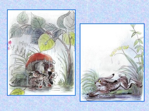 Иллюстрации к сказке Сутеева под грибом