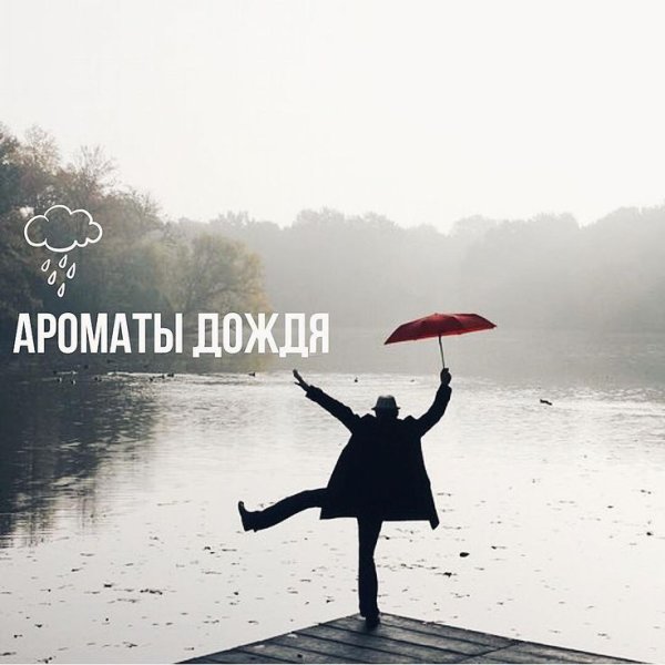 Запах дождя