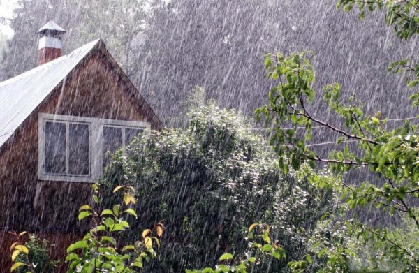 Дождь на даче