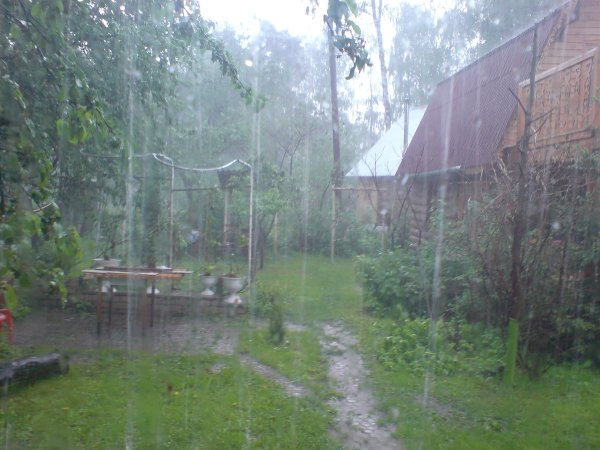 Дождик на даче